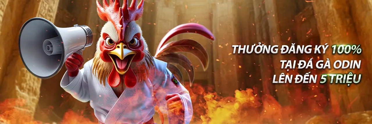 Đấu trường đá gà Thomo trực tiếp sôi động với các chiến kê dũng mãnh