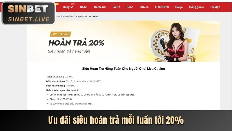Hoàn trả cược thua hàng ngày